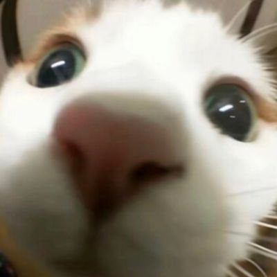 027Tv138502's profile picture. 