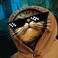 AVH DZ (@el_abrahandam) 's Twitter Profile