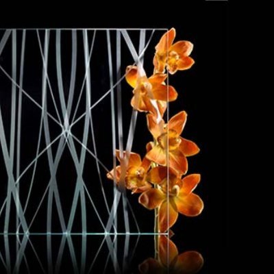 Decorative and architectural glass manufacturer from China.
Acid etched glass; Ceramic frit glass; Anti glare glass.
+86 15318080835
irisglass@techhiglass.com