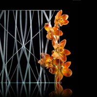 Iris Wang - Techhi Glass (@iriswang1336113) 's Twitter Profile