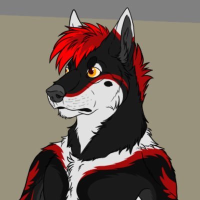 Medic Schäferさんのプロフィール画像