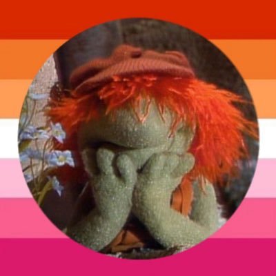 part time professional muppet aficionado!!! little gay freak other times • #muppettwt she/they • 26 • free 🇵🇸