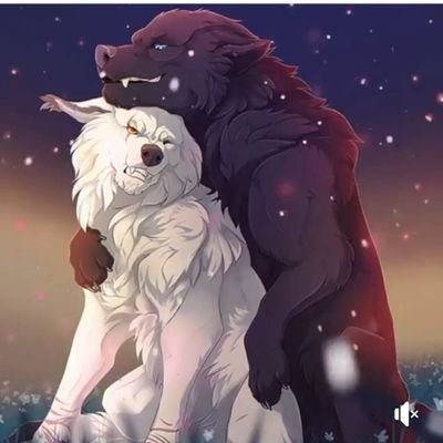 BlancheteTimide's profile picture. 