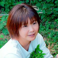 菊池はるみ＠佐渡島・野草研究家 (@sado_yomogi) 's Twitter Profile Photo