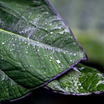 CarmenHart40566's profile picture. 