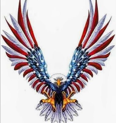 KarenJo80401416's profile picture. retired RN after 46 years, USAF veteran, patriot...