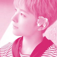 ✿ ‘ domi. ꒰੭͟͞🍀 (@domdlion_) 's Twitter Profile