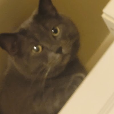 KadenTremb49986's profile picture.
