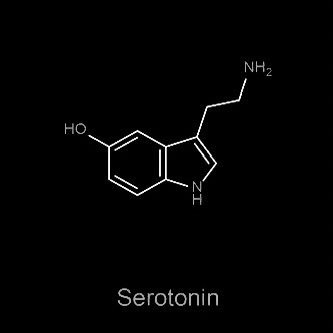 1udens_ystk's profile picture. 