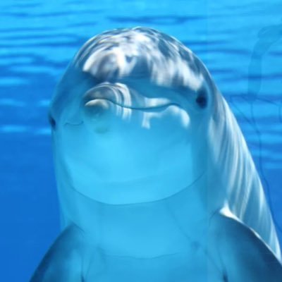 minoantiddyfan's profile picture. Classical Liberal | Open Titty Society Chairman