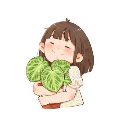 ValeraAnder's profile picture. 2024.7/16~ 観葉植物ビギナーの観察日記
2025.6/16~ くぅ🐰との生活はじめました

引越しを期に緑のある暮らしをスタート🪴
.
将来はお家をジャングルにしたい…!!と密かに企み中。
.
皆さんの植物もひっそりフォローして拝見させて頂きます🌱