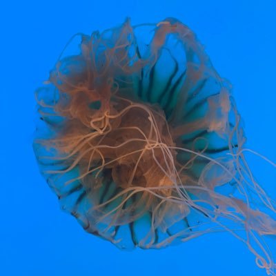 _Friend_of_Foe_'s profile picture. Kinky boy sharing and developing