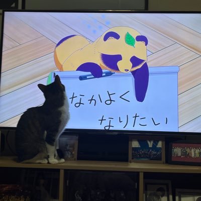 hiratechi0625_'s profile picture. I have an iron pipe./2025の目標:SNSで人に死ね、殺すぞって言わない】