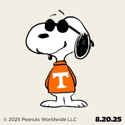 God, Family, Country and the Tennessee Vols! Cheer Dad, Operation Iraqi Freedom Vet 03