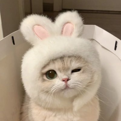 sw0358___'s profile picture. 