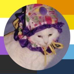 they/he | 18 | 24/7 robot lover | just a silly creature who lives in a computer