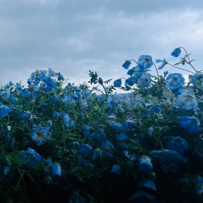 donguriKUDA3I's profile picture. TRPGアカウント 20↓ CoCしかやらないけどビガミとかもやってみたい！って思いながら２年が経った https://t.co/DhHSKzaA6j 自鯖も作ったぞ！ https://t.co/Kv8PZDO7MH