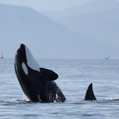 LYLAdventure's profile picture. 