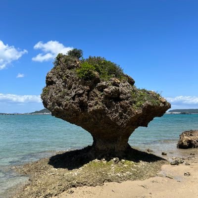 48_ichiro43893's profile picture. 父の実家の敷地に古墳跡がある。母方の祖母は74代天皇家の末裔。初代自民党総裁鳩山一郎由縁、釈迦生誕日生まれ。千葉真一JACに憧れて上京。三浦雄一郎ドルフィンズでバイト。UC6500、VOC、自民党代議士秘書(安倍晋三さんが清和会秘書会長時代)戦後レジュウムからの脱却、自主憲法の制定、自民党の再興を願う。