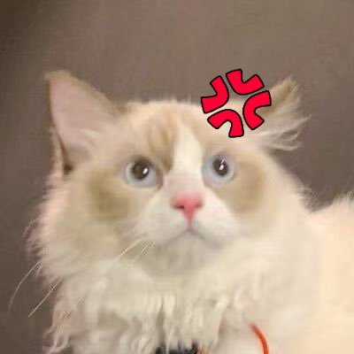 Rick / 一千万是只猫 💢 🧩 $BARD Profile