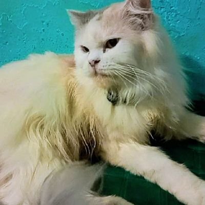 Love_3children's profile picture. Something Special