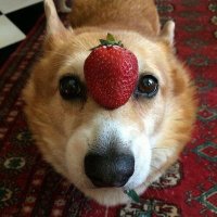 Nercl1s (@nerclis1) 's Twitter Profile Photo