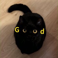 qiebuguiyin (@qiebuguiyin) 's Twitter Profile