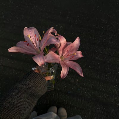 HBerlentinexo's profile picture. let him meditate to your dial tone sis x