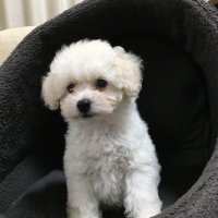 【ほっとく系大家 ゆーた】建売新築アパート購入。意外と知らない!がわかる本書いてみました。 (@corkltesar13889) 's Twitter Profile
