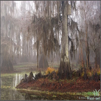 EugeneKell81882's profile picture. I'm a inspiring person with diverse interests including road trips, academic research. Currently working in social impact investing and always looking for new o