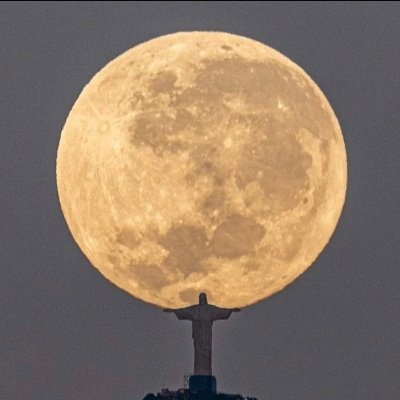 Eloquent242373's profile picture. “Il y a une bourgeoisie de gauche et une bourgeoisie de droite. Il n'y a pas de peuple de gauche ou de peuple de droite, il n'y a qu'un peuple.”  Bernanos
