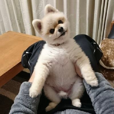 ちぽりんぬ⛸️✨💎✨⛸️さんのプロフィール画像