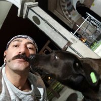 Ivan Sergei Dimitric Topov (@choshtar) 's Twitter Profile