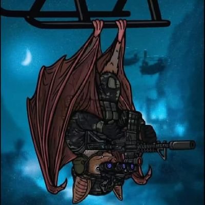 Daniel205250360's profile picture. 