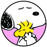 おちゃ (@miysd_) 's Twitter Profile Photo