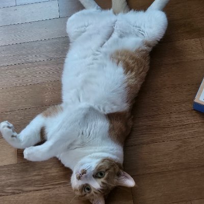 chaeeun0407's profile picture. 