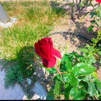 demet (@demet26x) 's Twitter Profile