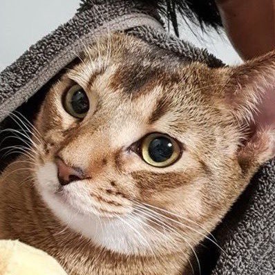 SM TRUE SM Ent. is fuck but tenlee still cute ,. yblwm