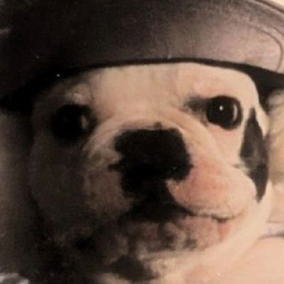 CRTzdnPrUR28227's profile picture. 