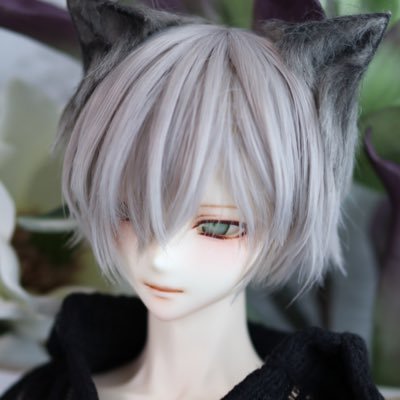 うちのこの日々を徒然と綴るアカウント(*´꒳`*)⌘男の子キャラドと動物ドールが最近多めです⌘MDD/DDB/TF/男子図鑑/オビツ/kumukuku/海外ドール etc. ⌘🌈🕒🎲🌶🫖🌿🍱🦖🥷🔫/1Nm8/&TEAM⌘TL追えてません🙇♀️キャストお兄さん紹介⇨@coconyanya4