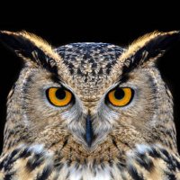 Connor Mitchell (@connormitch1867) 's Twitter Profile Photo