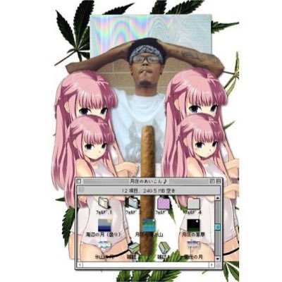 antiguapform's profile picture. 