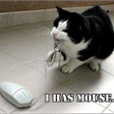 kool_aid_0916's profile picture. Evil