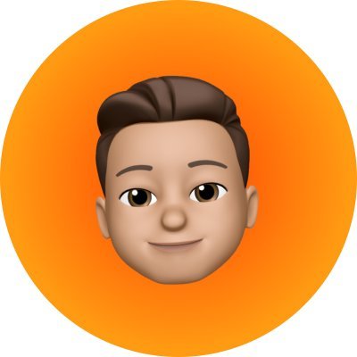 laurens_st's profile picture. Building €100K/mo email marketing agency