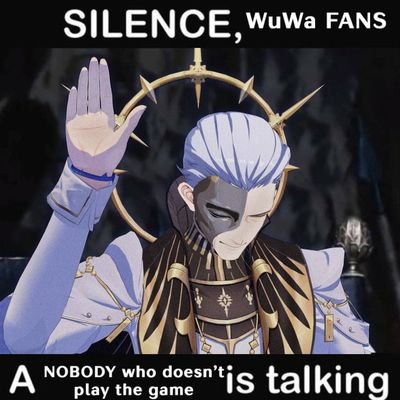 An entity that exist solely to fight misinformations and slanders attack towards wuthering waves.