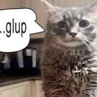 gulp... (@koolaidcherrie) 's Twitter Profile