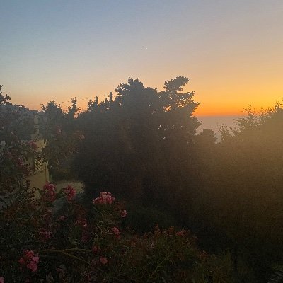 Gillian69506473's profile picture. 