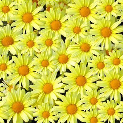 Ohanayamamu's profile picture. :)!