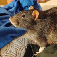 27sons (@27drabbles) 's Twitter Profile Photo