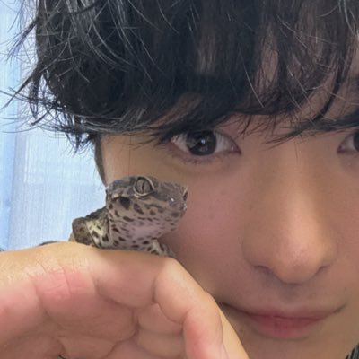 25歳 レオパ10匹飼育中/キキ🦎テン🦎ピノ🦎 ユズ🦎ヒナ🦎ココ🦎リン🦎ハク🦎ハナ🦎レン🦎/爬虫類飼ってる方必ずフォロバします/無言フォロー失礼します🙇♂️気軽に絡んでください!!!☺️